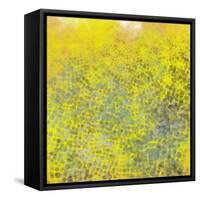 Hive I-Jason Johnson-Framed Stretched Canvas