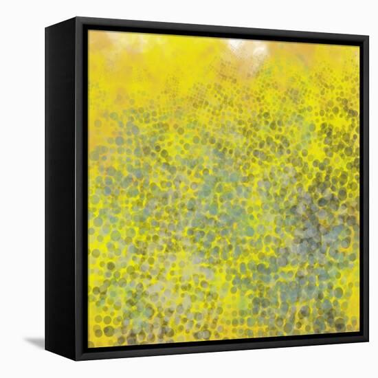 Hive I-Jason Johnson-Framed Stretched Canvas