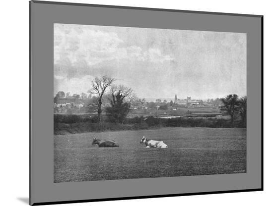 Photographic Print, , large