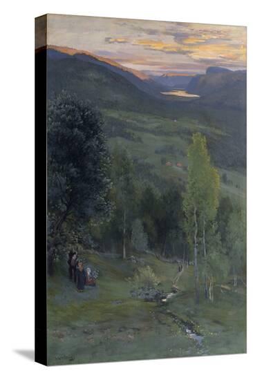 Stretched Canvas Print, , large