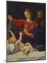 Hl.Familie, Sogenannte Madonna Del Velo. Kopie des Verschollenen Gemaeldes-Raphael-Mounted Giclee Print