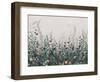 Hl004 Flowers 2  4206Mm X 3000H-Hendon Lane-Framed Giclee Print