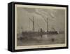 Hm Ironclad Hotspur-Walter William May-Framed Stretched Canvas