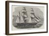 Hm Steam-Ship Tiger-null-Framed Giclee Print