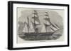 Hm Steam-Ship Tiger-null-Framed Giclee Print