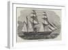 Hm Steam-Ship Tiger-null-Framed Giclee Print