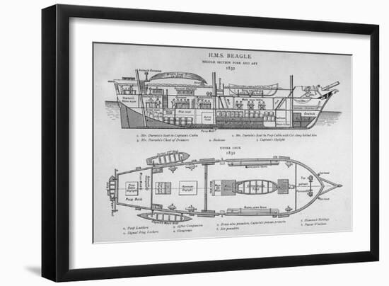 Hms Beagle Charles Darwin's Research Ship-R.t. Pritchett-Framed Premium Photographic Print