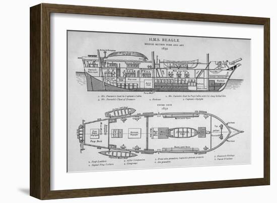 Hms Beagle Charles Darwin's Research Ship-R.t. Pritchett-Framed Photographic Print