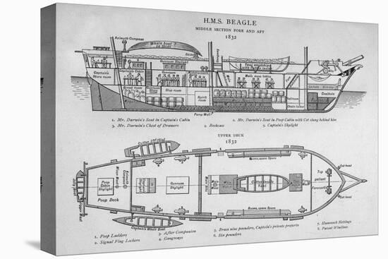 Hms Beagle Charles Darwin's Research Ship-R.t. Pritchett-Stretched Canvas