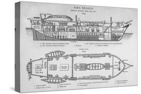 Hms Beagle Charles Darwin's Research Ship-R.t. Pritchett-Stretched Canvas