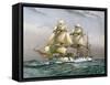 HMS Calliope, Royal Navy 3rd Class Cruiser, C1890-C1893-null-Framed Stretched Canvas