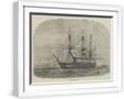 Chelsea White