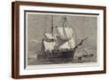 Brown Frame