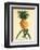 Ho’okipa, Hawaiian Pineapple c.1742-Georg Dionysius Ehret-Framed Art Print