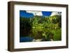 Ho'omaluhia Botanical Garden in Kaneohe, Oahu, Hawaii-Shane Myers Photography-Framed Photographic Print