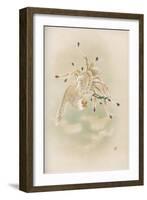 Ho-Wo Bird, Japanese Phoenix-null-Framed Art Print