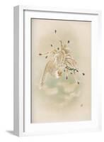 Ho-Wo Bird, Japanese Phoenix-null-Framed Art Print