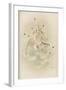 Ho-Wo Bird, Japanese Phoenix-null-Framed Art Print