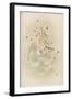 Ho-Wo Bird, Japanese Phoenix-null-Framed Art Print