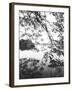 Hoan Kiem Lake View, Hanoi, Vietnam-Walter Bibikow-Framed Premium Photographic Print