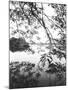 Hoan Kiem Lake View, Hanoi, Vietnam-Walter Bibikow-Mounted Premium Photographic Print