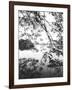 Hoan Kiem Lake View, Hanoi, Vietnam-Walter Bibikow-Framed Photographic Print