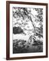 Hoan Kiem Lake View, Hanoi, Vietnam-Walter Bibikow-Framed Photographic Print