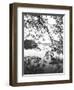 Hoan Kiem Lake View, Hanoi, Vietnam-Walter Bibikow-Framed Photographic Print