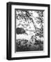 Hoan Kiem Lake View, Hanoi, Vietnam-Walter Bibikow-Framed Photographic Print