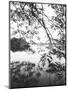 Hoan Kiem Lake View, Hanoi, Vietnam-Walter Bibikow-Mounted Photographic Print