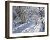 Hoar Frost, 2011-Andrew Macara-Framed Giclee Print