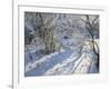 Hoar Frost, 2011-Andrew Macara-Framed Giclee Print