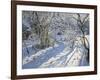 Hoar Frost, 2011-Andrew Macara-Framed Giclee Print