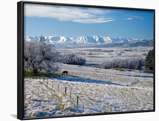 Hoar Frost and Farmland near Poolburn, Central Otago, South Island, New Zealand-David Wall-Framed Photographic Print