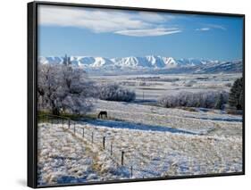 Hoar Frost and Farmland near Poolburn, Central Otago, South Island, New Zealand-David Wall-Framed Photographic Print