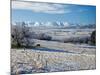 Hoar Frost and Farmland near Poolburn, Central Otago, South Island, New Zealand-David Wall-Mounted Photographic Print