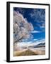 Hoar Frost and Otago Central Rail Trail near Oturehua, Central Otago, South Island, New Zealand-David Wall-Framed Photographic Print