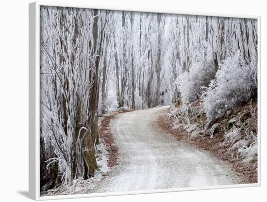 Hoar Frost and Road by Butchers Dam, near Alexandra, Central Otago, South Island, New Zealand-David Wall-Framed Photographic Print