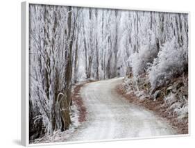 Hoar Frost and Road by Butchers Dam, near Alexandra, Central Otago, South Island, New Zealand-David Wall-Framed Photographic Print