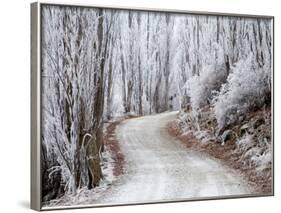 Hoar Frost and Road by Butchers Dam, near Alexandra, Central Otago, South Island, New Zealand-David Wall-Framed Photographic Print