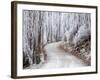 Hoar Frost and Road by Butchers Dam, near Alexandra, Central Otago, South Island, New Zealand-David Wall-Framed Photographic Print