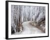 Hoar Frost and Road by Butchers Dam, near Alexandra, Central Otago, South Island, New Zealand-David Wall-Framed Photographic Print
