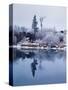 Hoar frost on Pacific willow, Deschutes River, Deschutes National Forest, Deschutes County, Oreg...-null-Stretched Canvas