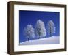 Hoar Frost on Trees-Walter Geiersperger-Framed Photographic Print