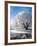 Hoar Frost on Willow Tree, near Omakau, Central Otago, South Island, New Zealand-David Wall-Framed Photographic Print