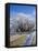 Hoar Frost, Oturehua, South Island, New Zealand-David Wall-Framed Stretched Canvas