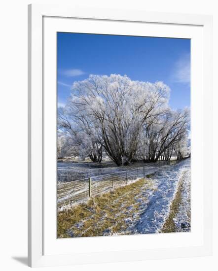 Hoar Frost, Oturehua, South Island, New Zealand-David Wall-Framed Photographic Print