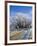 Hoar Frost, Oturehua, South Island, New Zealand-David Wall-Framed Photographic Print