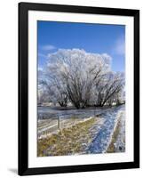 Hoar Frost, Oturehua, South Island, New Zealand-David Wall-Framed Photographic Print