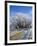 Hoar Frost, Oturehua, South Island, New Zealand-David Wall-Framed Photographic Print